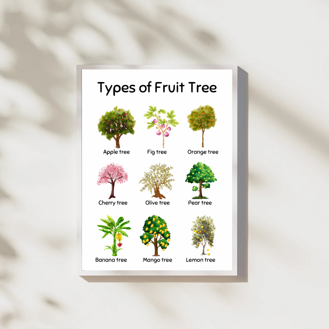 Types of Fruit Tree Digital Poster