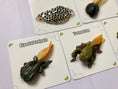 Load image into Gallery viewer, The Life Cycle of a Frog Package | Model Toys, Cards & Digital Posters | Bundle of 17 pcs
