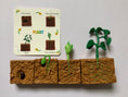 Load image into Gallery viewer, The Lifecycle of a Plant Package | Model Toys, Cards & Digital Posters Bundle of 19 pcs
