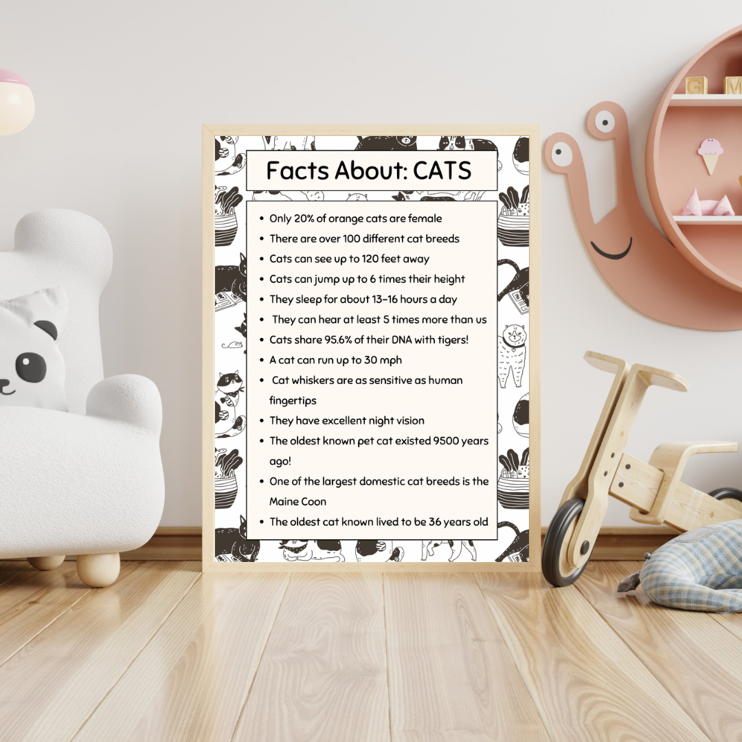 Facts About… Digital Poster