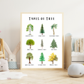 Load image into Gallery viewer, Types of Tree Digital Poster
