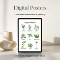 Load image into Gallery viewer, Types of Plants Set of 2 Digital Posters
