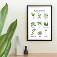 Load image into Gallery viewer, Types of Plants Set of 2 Digital Posters
