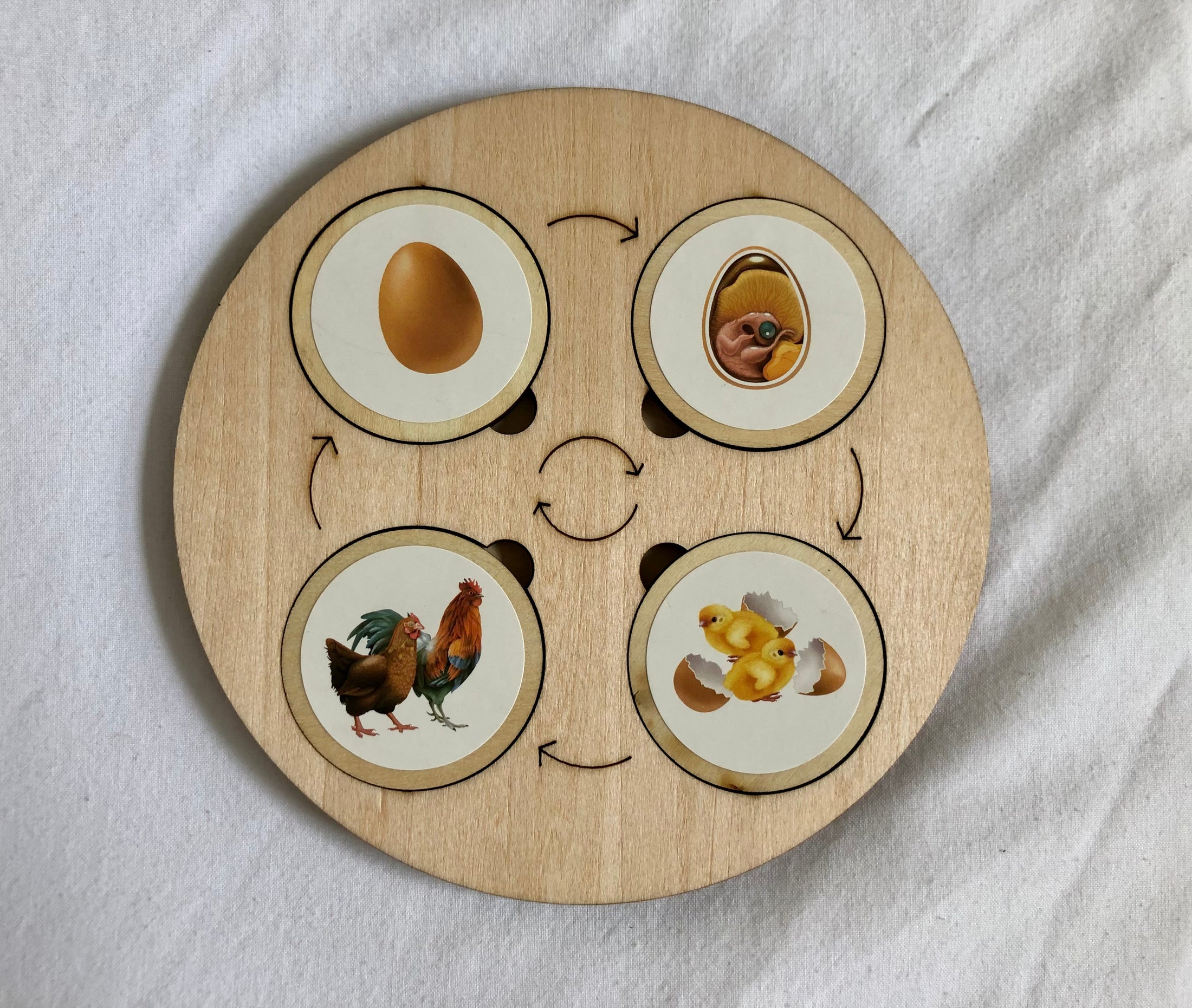 Montessori Wooden Life Cycle Board | 10 Life Cycles