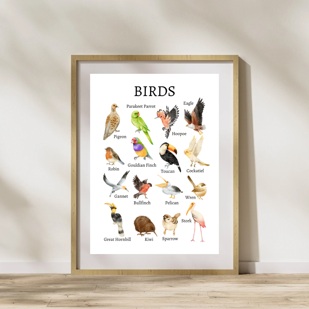 Animal Species Digital Poster