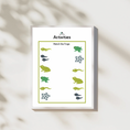 Load image into Gallery viewer, The Life Cycle of a Frog Package | Model Toys, Cards & Digital Posters | Bundle of 17 pcs
