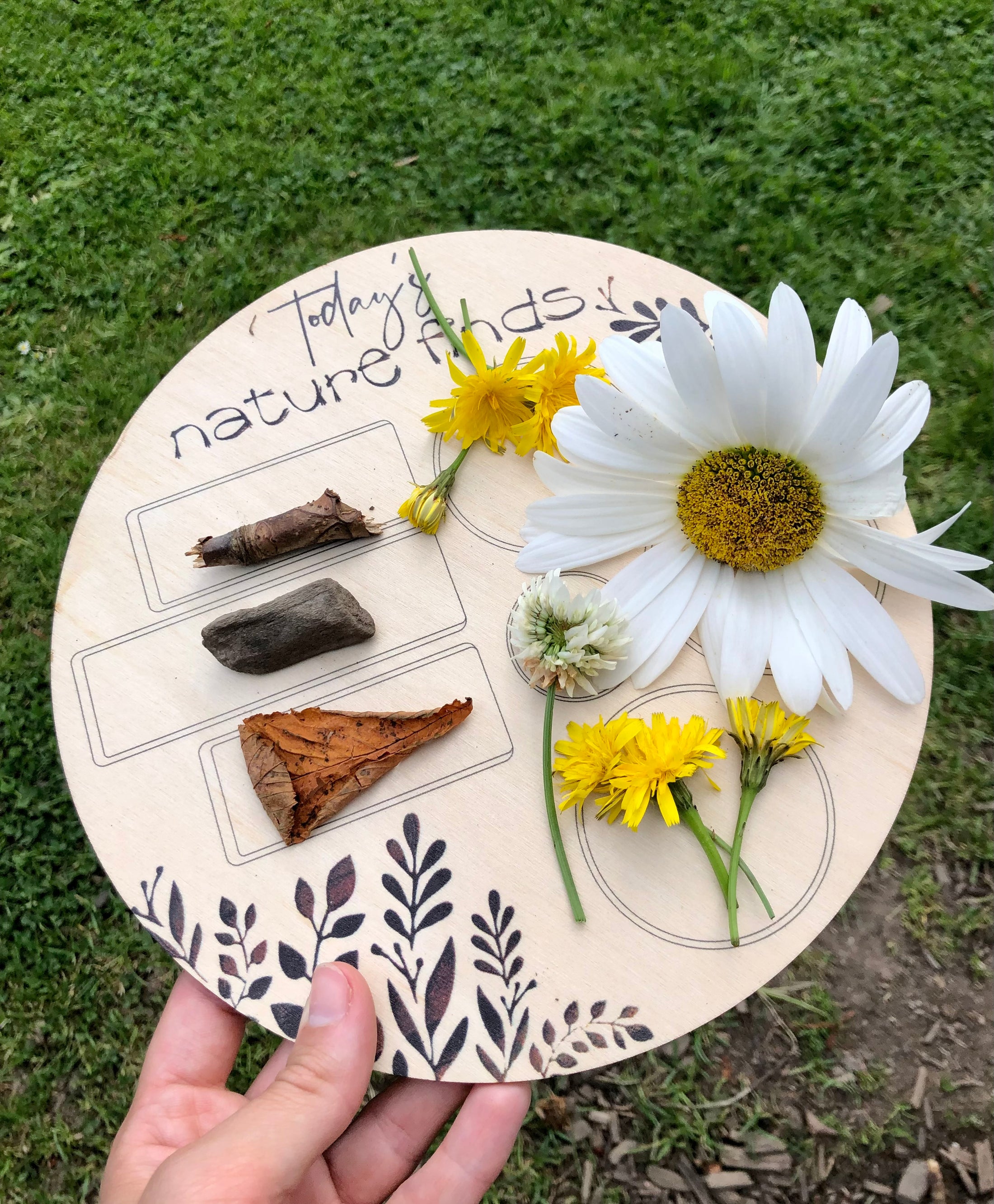 Today’s Nature Finds Wooden Board