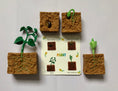 Load image into Gallery viewer, The Lifecycle of a Plant Package | Model Toys, Cards & Digital Posters Bundle of 19 pcs
