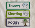 Load image into Gallery viewer, The Weather Flashcards 16 pcs with Digital “The Weather” Poster
