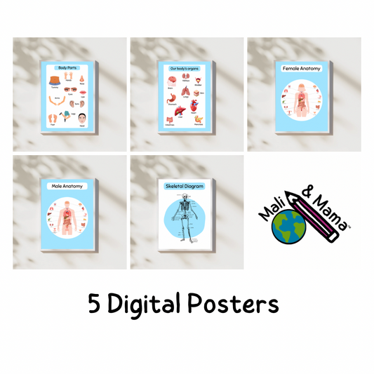 The Body Bundle, 5 pcs, Digital Posters