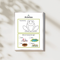 Load image into Gallery viewer, The Life Cycle of a Frog Package | Model Toys, Cards & Digital Posters | Bundle of 17 pcs
