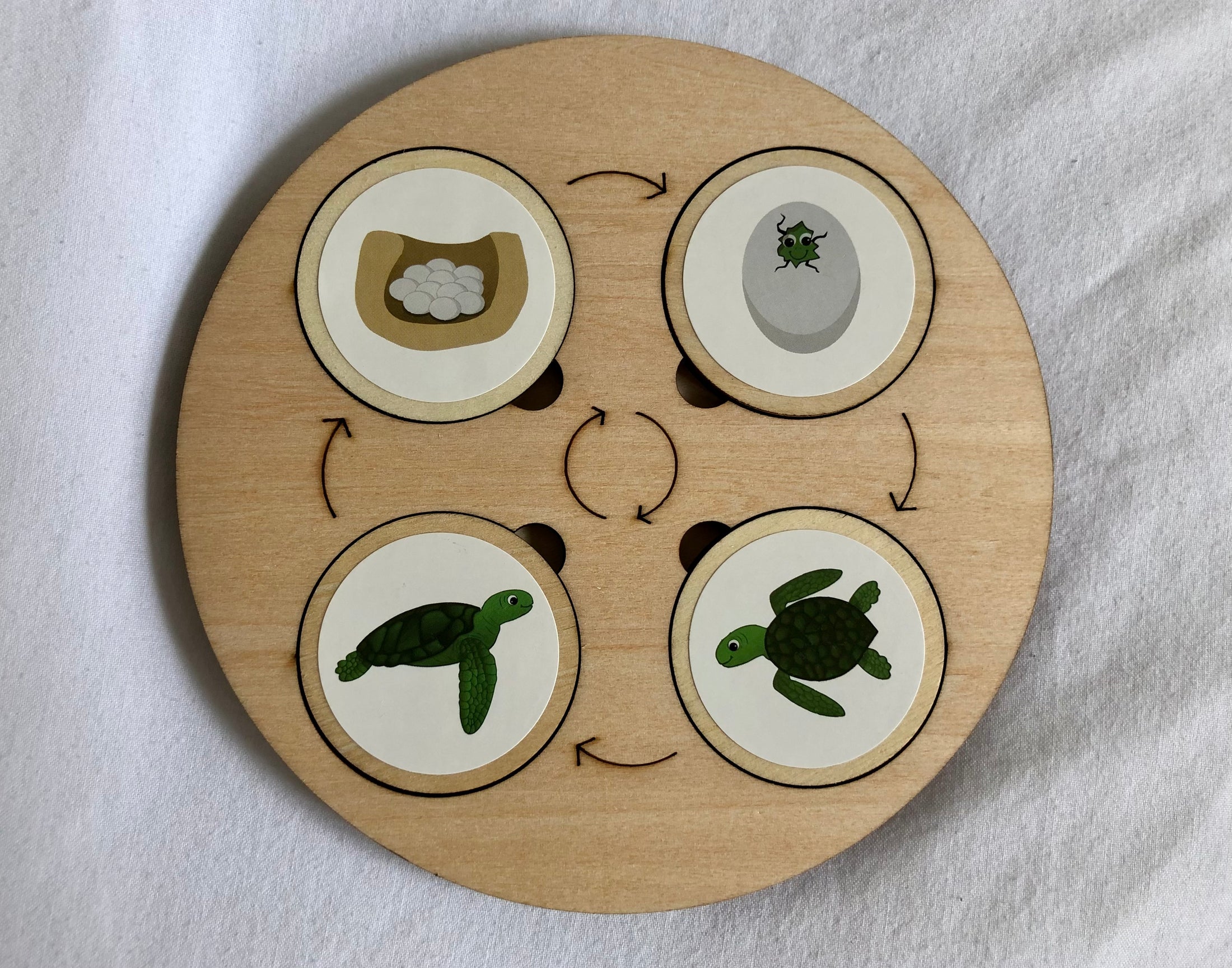 Montessori Wooden Life Cycle Board | 10 Life Cycles