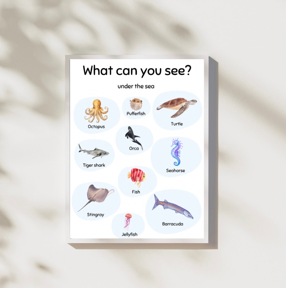 What Can You See? Digital Posters