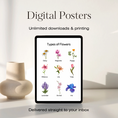 Load image into Gallery viewer, Types of Flowers Set of 2 Digital Posters
