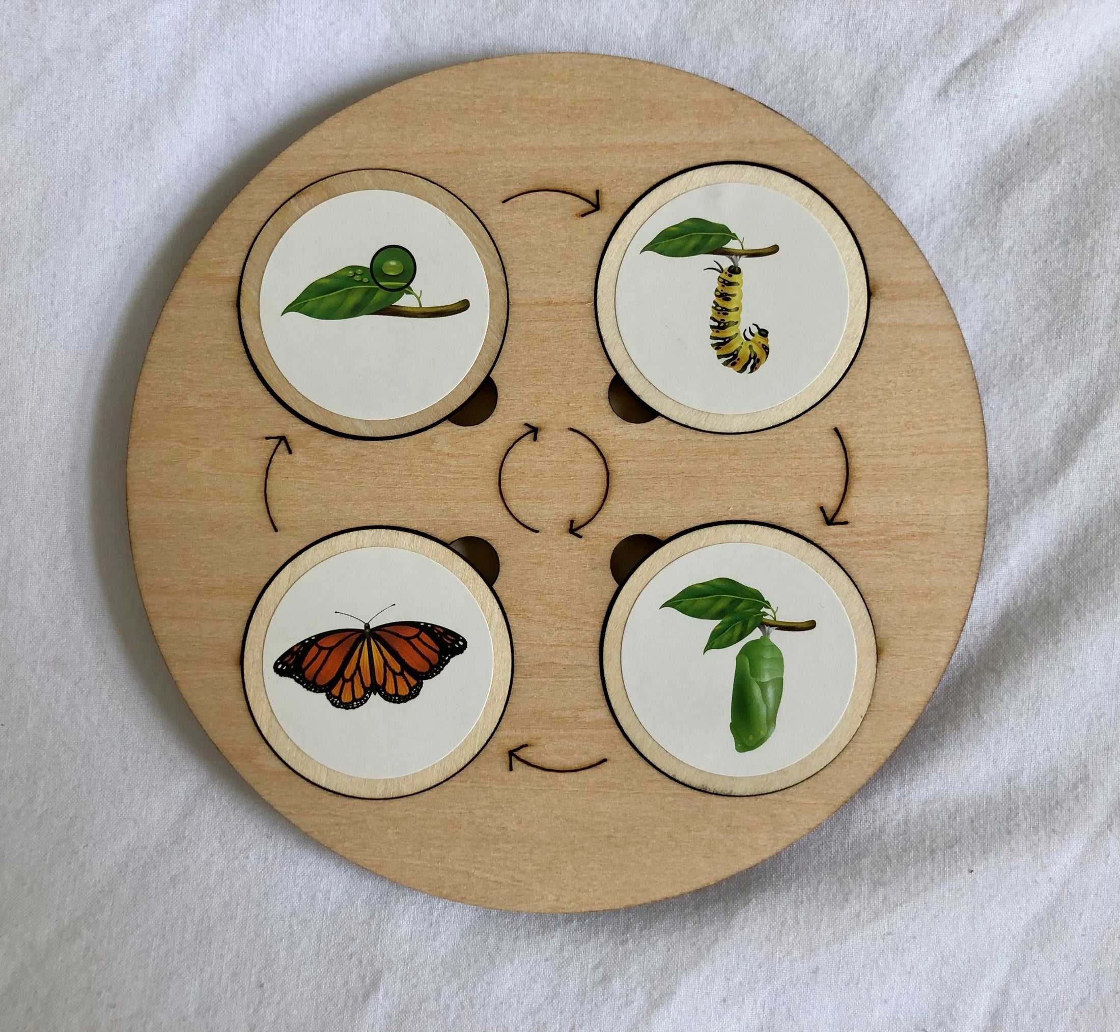 Montessori Wooden Life Cycle Board | 10 Life Cycles