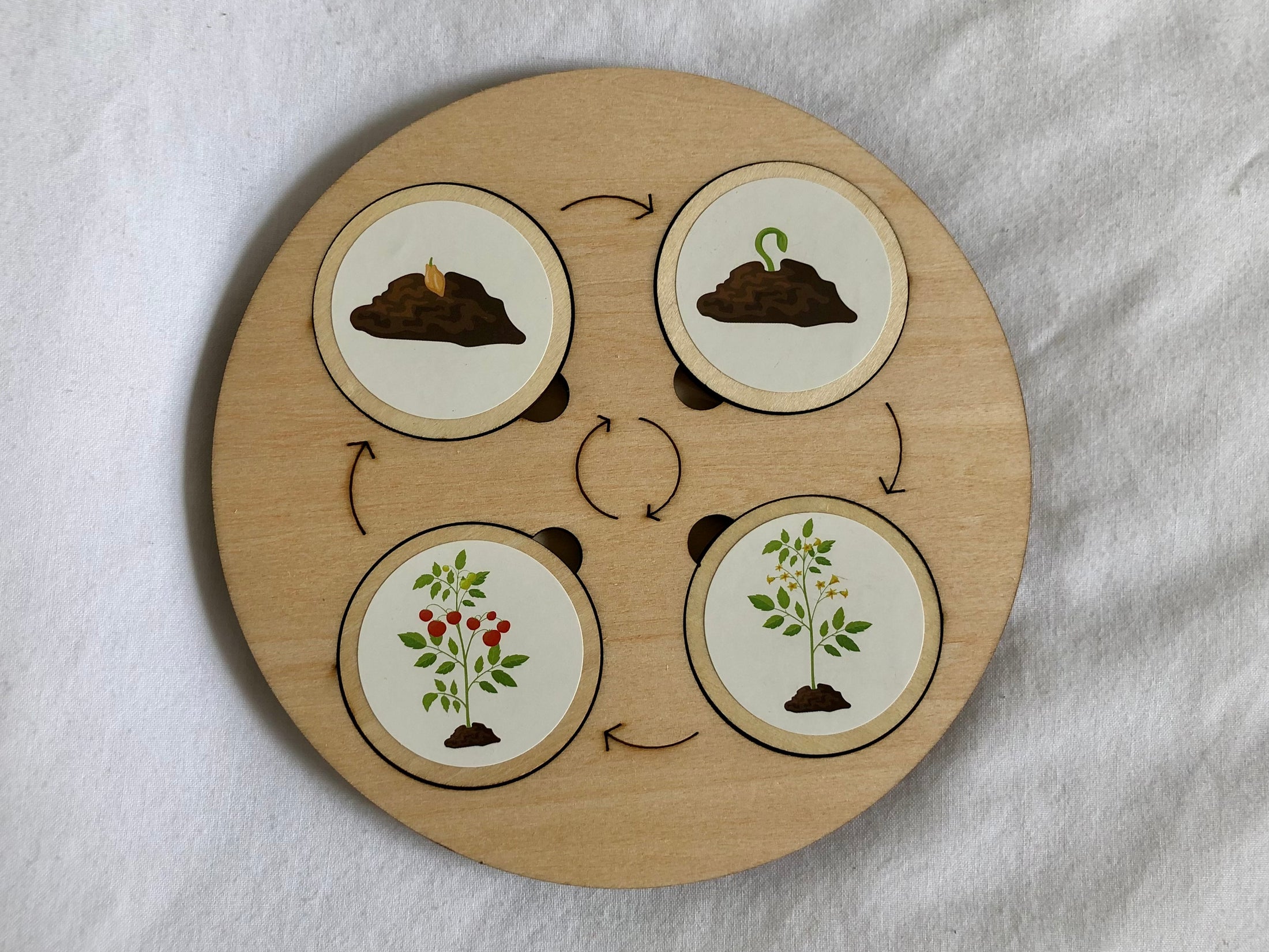 Montessori Wooden Life Cycle Board | 10 Life Cycles