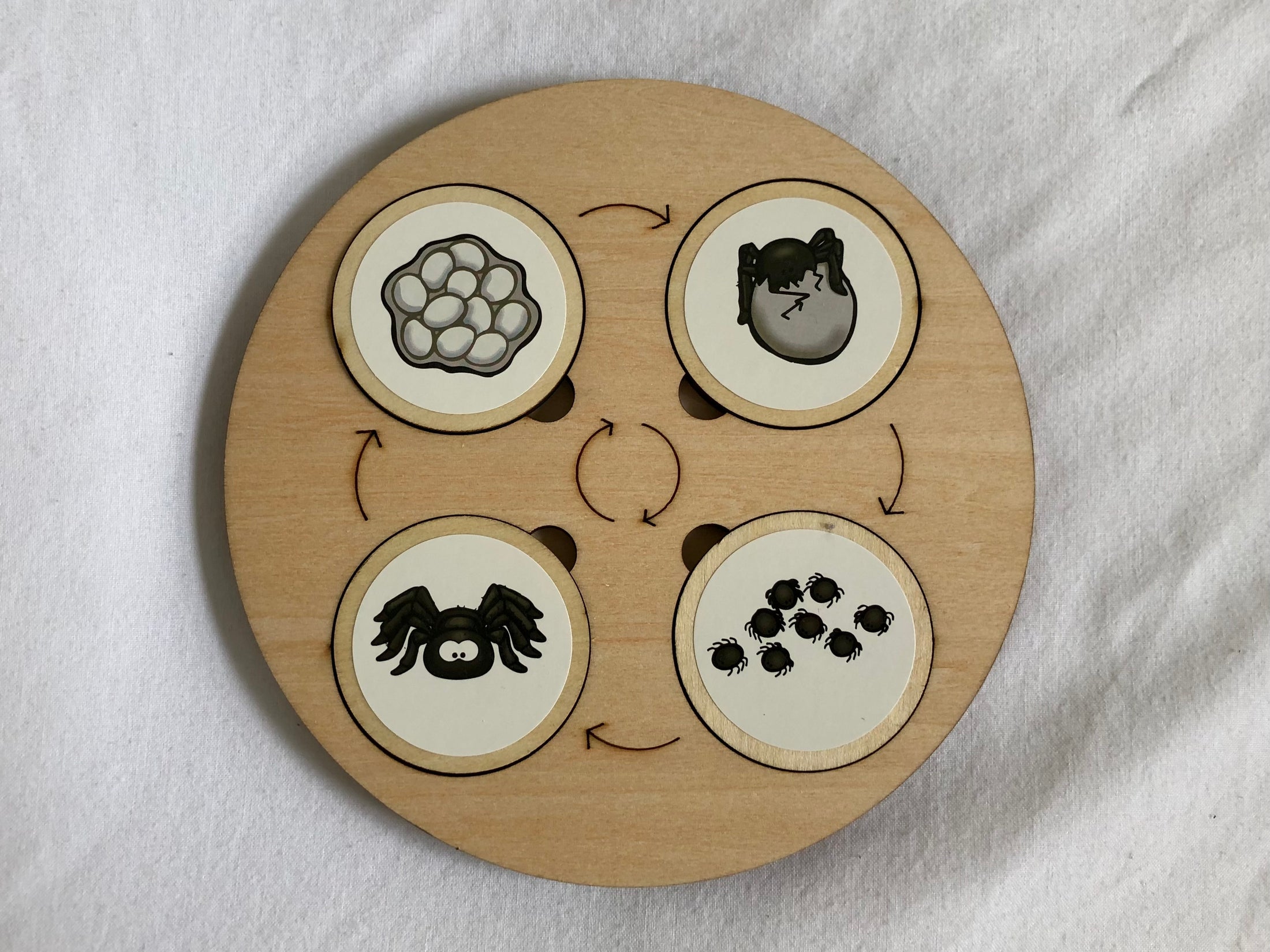 Montessori Wooden Life Cycle Board | 10 Life Cycles