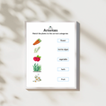 Load image into Gallery viewer, The Lifecycle of a Plant Package | Model Toys, Cards & Digital Posters Bundle of 19 pcs
