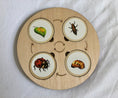 Load image into Gallery viewer, Montessori Wooden Life Cycle Board | 10 Life Cycles
