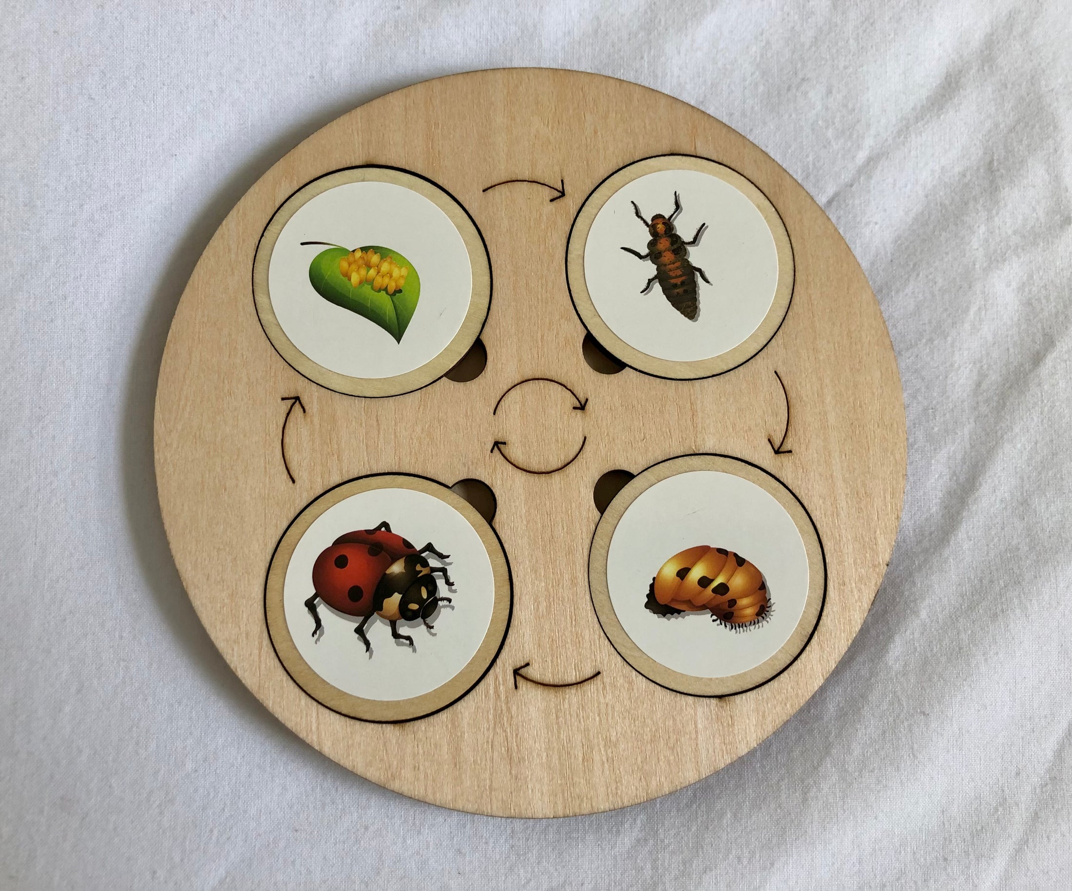 Montessori Wooden Life Cycle Board | 10 Life Cycles