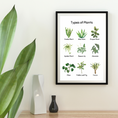 Load image into Gallery viewer, Types of Plants Set of 2 Digital Posters
