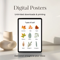 Load image into Gallery viewer, Types of Leaf Set of 4 Digital Posters
