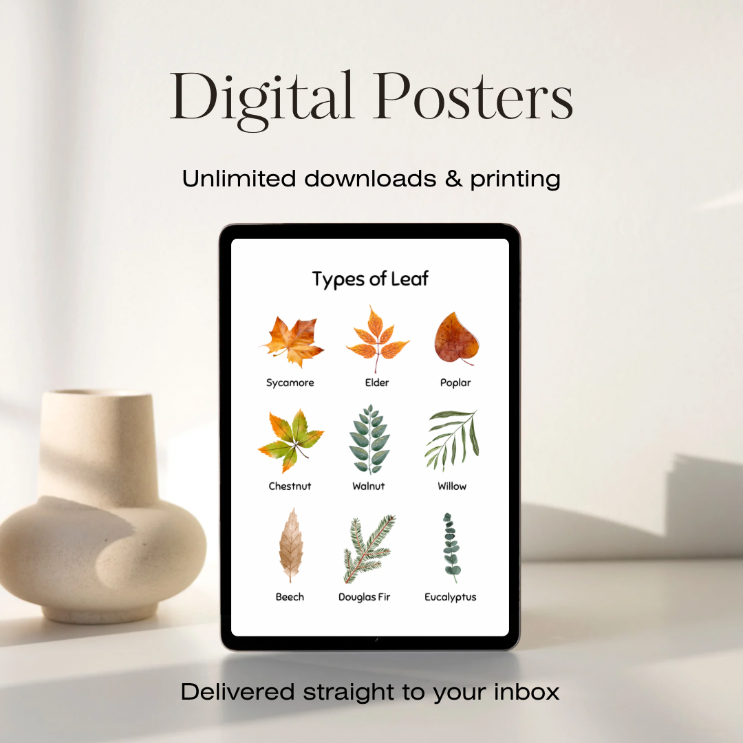 Types of Leaf Set of 4 Digital Posters