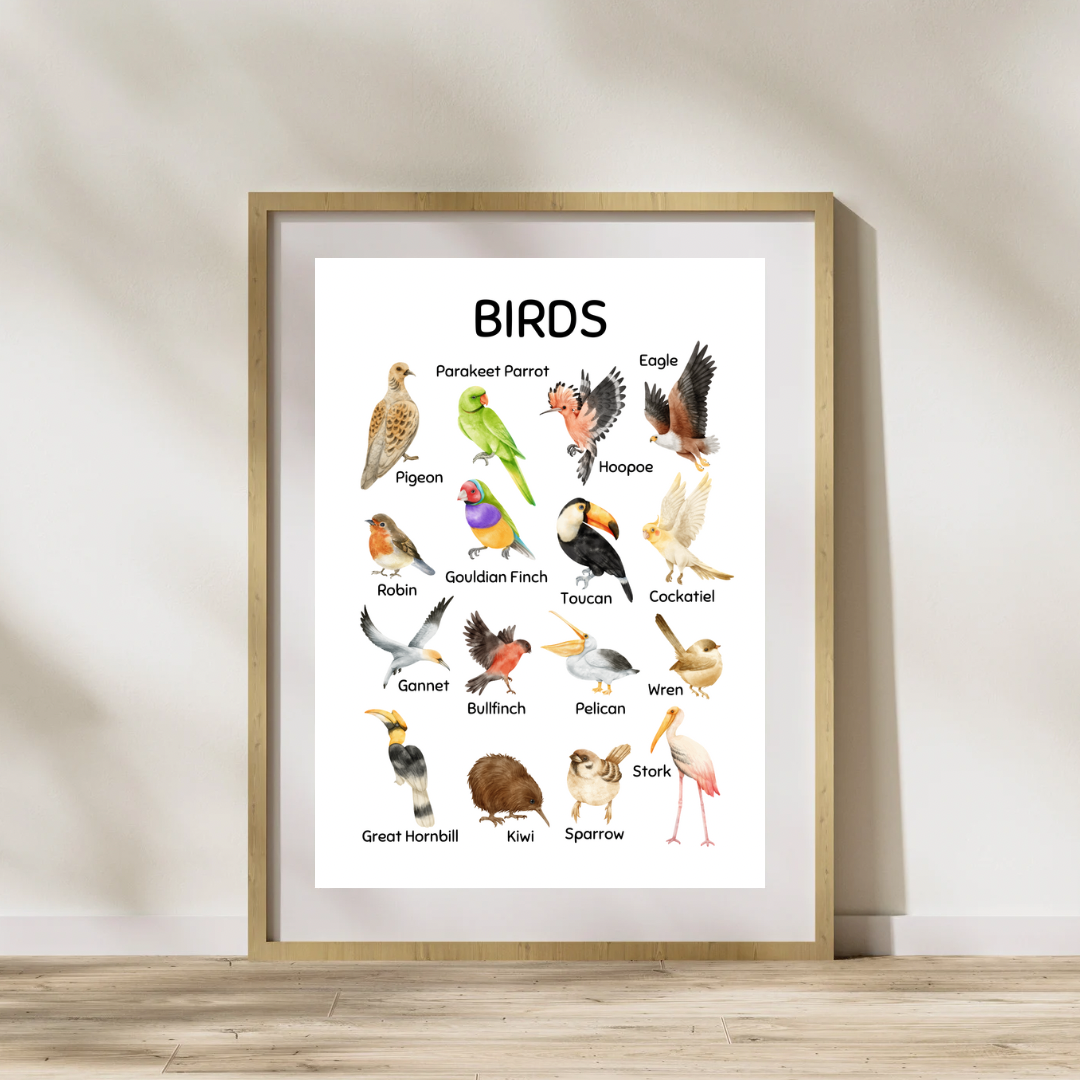 Animal Species Digital Poster