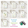 Load image into Gallery viewer, The Life Cycle of a Frog Package | Model Toys, Cards & Digital Posters | Bundle of 17 pcs
