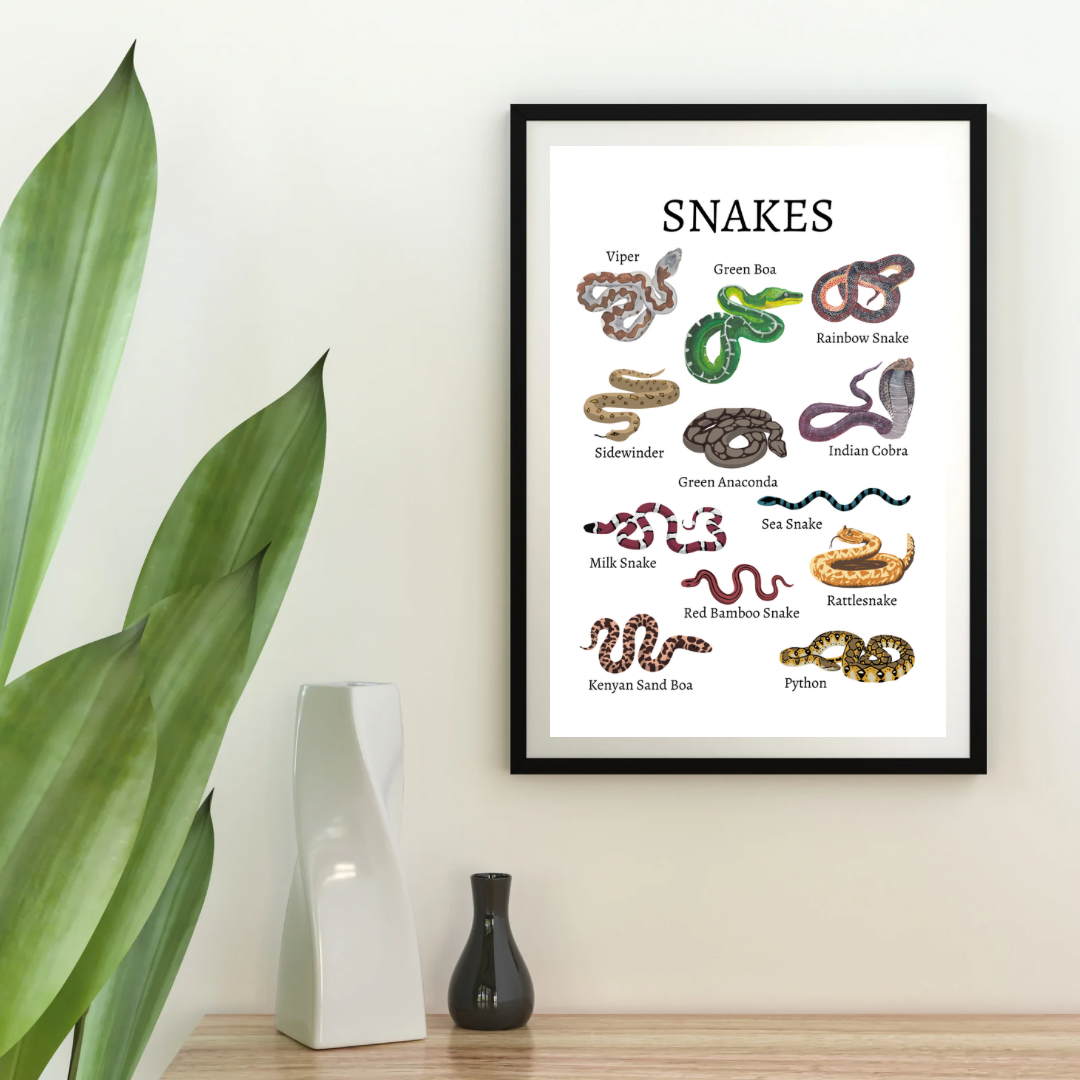 Animal Species Digital Poster