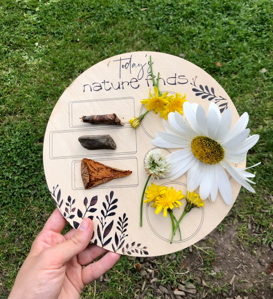 Today’s Nature Finds Wooden Board