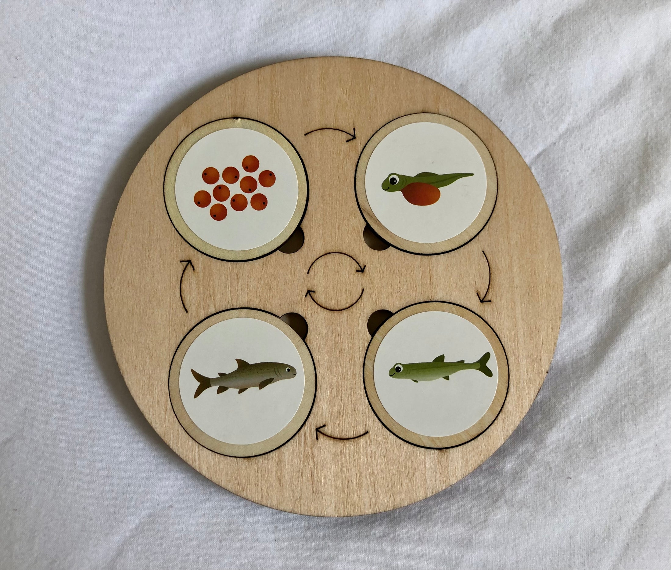 Montessori Wooden Life Cycle Board | 10 Life Cycles