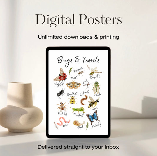 Animals Decorative Digital Posters