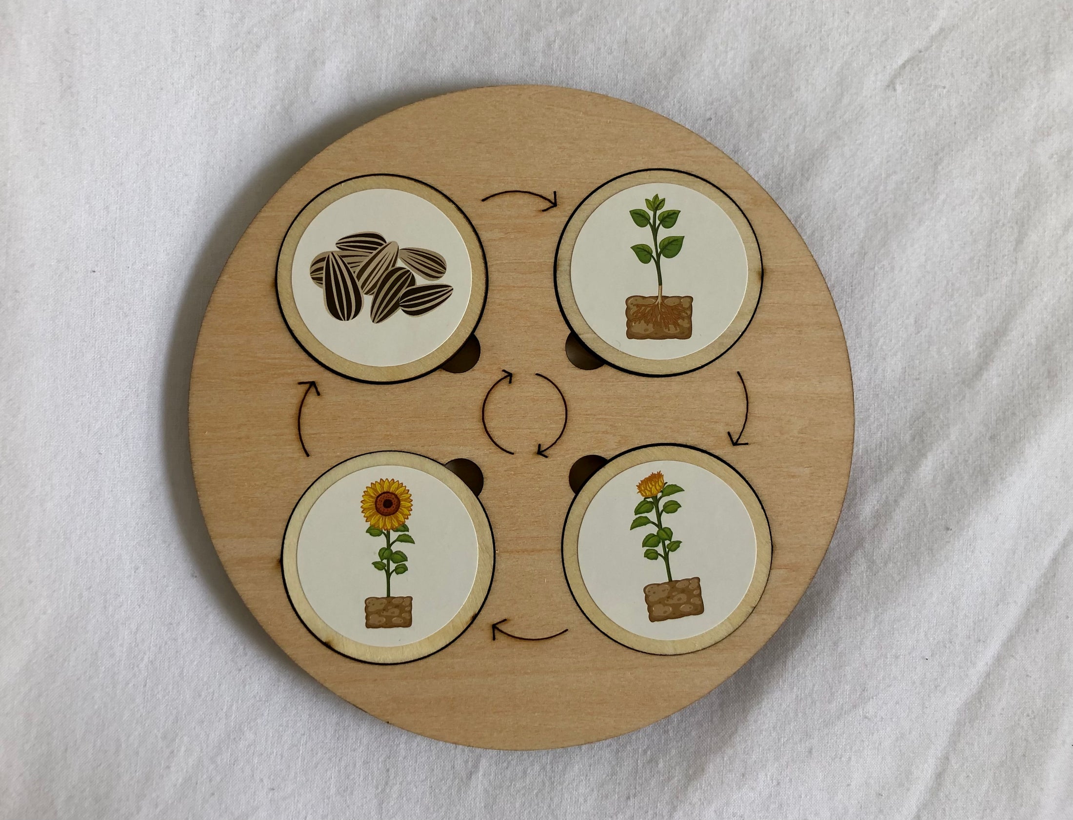 Montessori Wooden Life Cycle Board | 10 Life Cycles