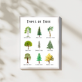 Load image into Gallery viewer, Types of Tree Digital Poster
