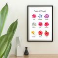 Load image into Gallery viewer, Types of Flowers Set of 2 Digital Posters
