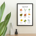 Load image into Gallery viewer, Types of Leaf Set of 4 Digital Posters
