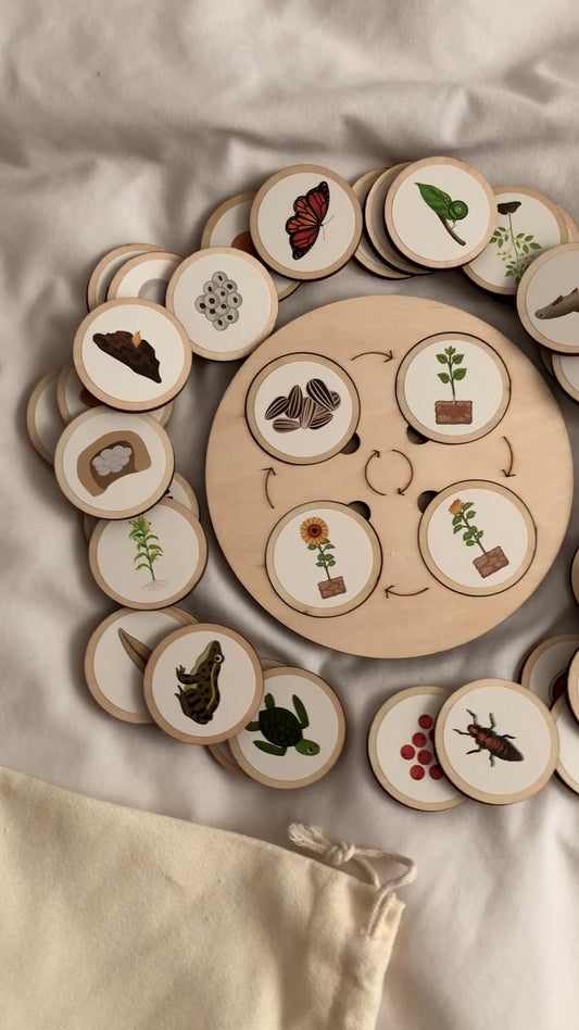 Montessori Wooden Life Cycle Board | 10 Life Cycles